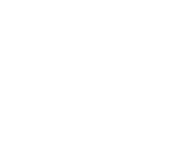 ECIH - Certified Incident Handler
