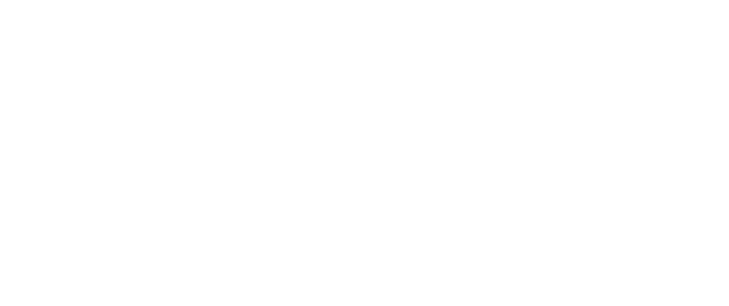 Binary Confidence logo