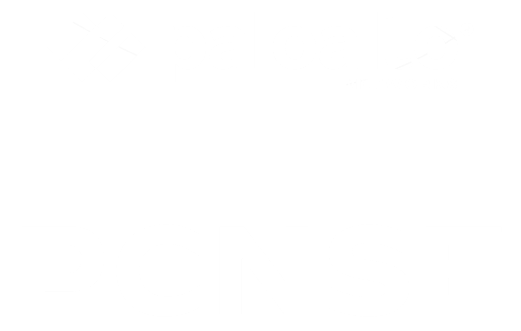 Palo Alto PCNSE